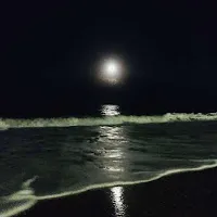 Cupreous — Черное Море — обложка